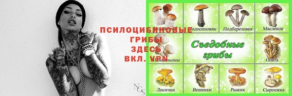 ешки Балахна