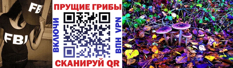 hydra зеркало  купить   площадка клад  Галлюциногенные грибы мухоморы  Липецк 